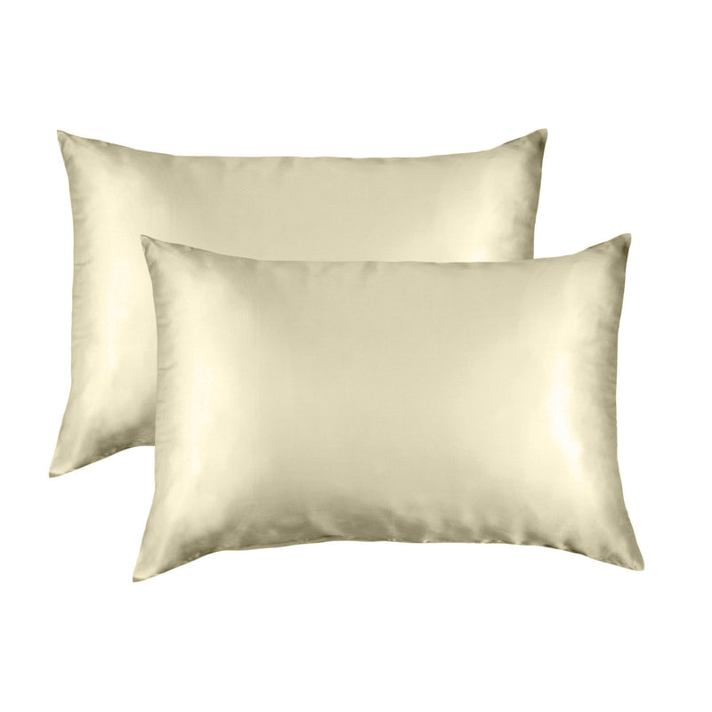 Mulberry Silk Pillowcase Twin Pack (Exclusive)